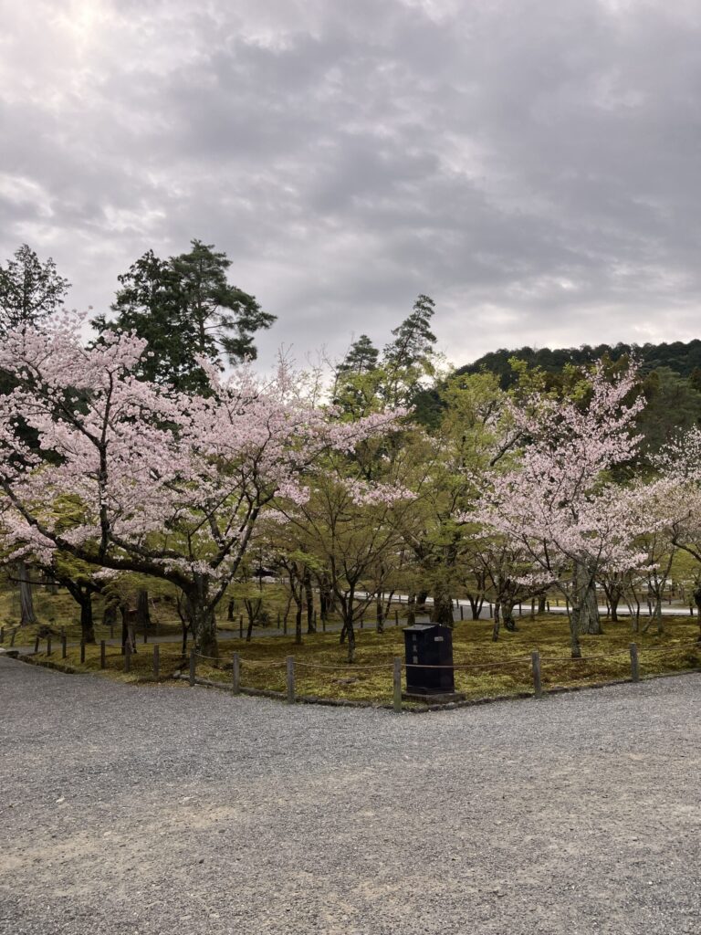 Temple grounds scenery