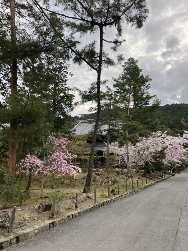 Temple grounds scenery